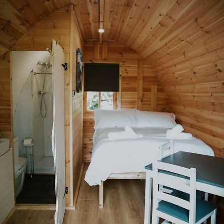 Ash Winter Retreat- Hot Tub & Log Bruner Barmouth Eksteriør bilde