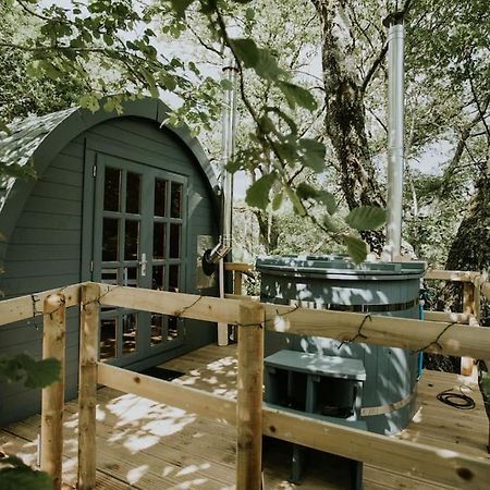 Ash Winter Retreat- Hot Tub & Log Bruner Barmouth Eksteriør bilde
