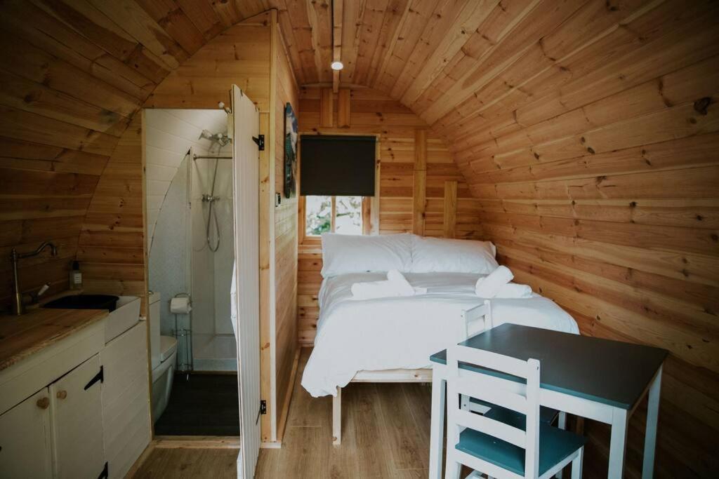 Ash Winter Retreat- Hot Tub & Log Bruner Barmouth Eksteriør bilde