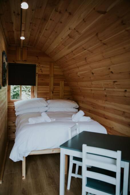Ash Winter Retreat- Hot Tub & Log Bruner Barmouth Eksteriør bilde